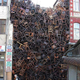 Image for article titled The Strangest Installations and Art Projects on Earth